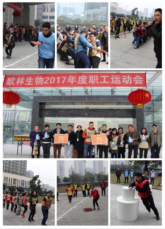 欧林生物2017年度职工运动会1