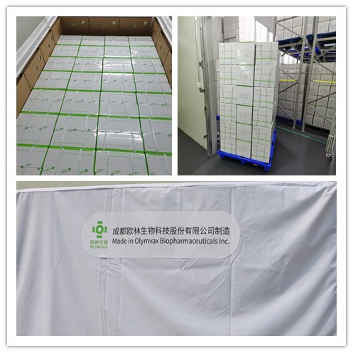 巴基斯坦3 巴基斯坦3